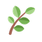 🌿Emoji